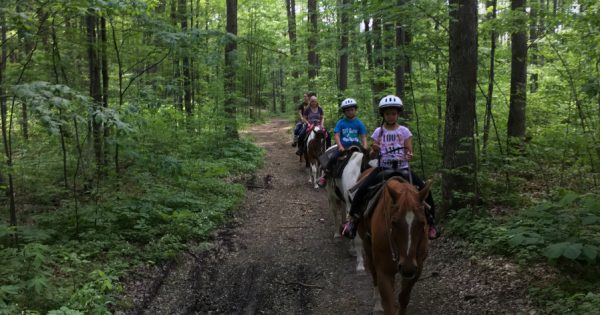 A group of people enjoy a horseback riding excursion through a forest.
