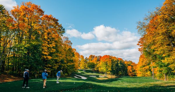 Treetops Resort Fall Golf