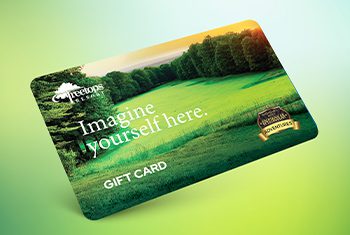 $100 Treetops Gift Card