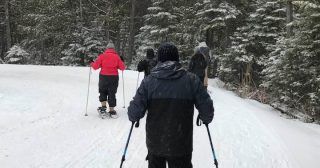 Guided Snowshoe Hike