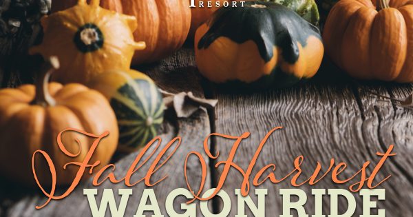 Gourds and pumpkins sit on a wooden table, overlaid with Fall Harvest Wagon Ride Dinner and the Treetops logo.