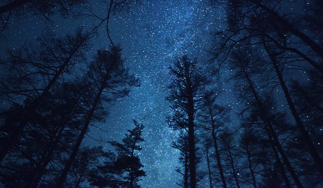 Things to do in Northern Michigan: Stargazing