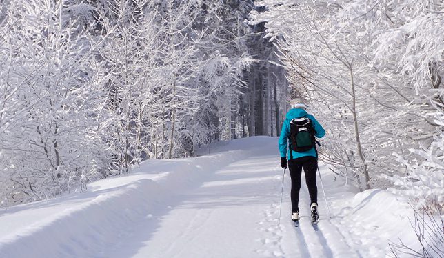 Michigan lodge and inn
