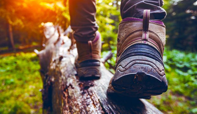 Michigan lodge and inn