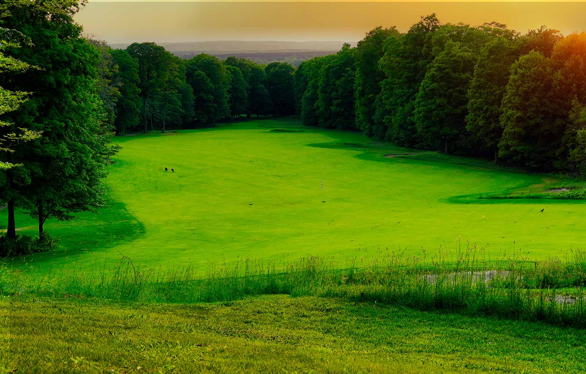 outside Treetops Resort