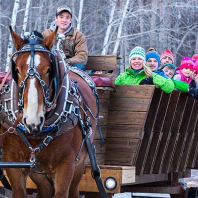 Winter Sleigh Rides