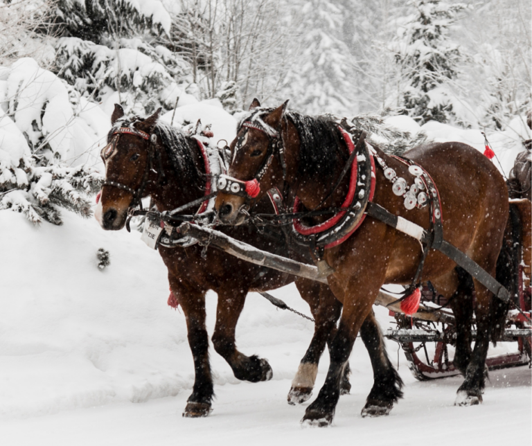 Untitled design (18)