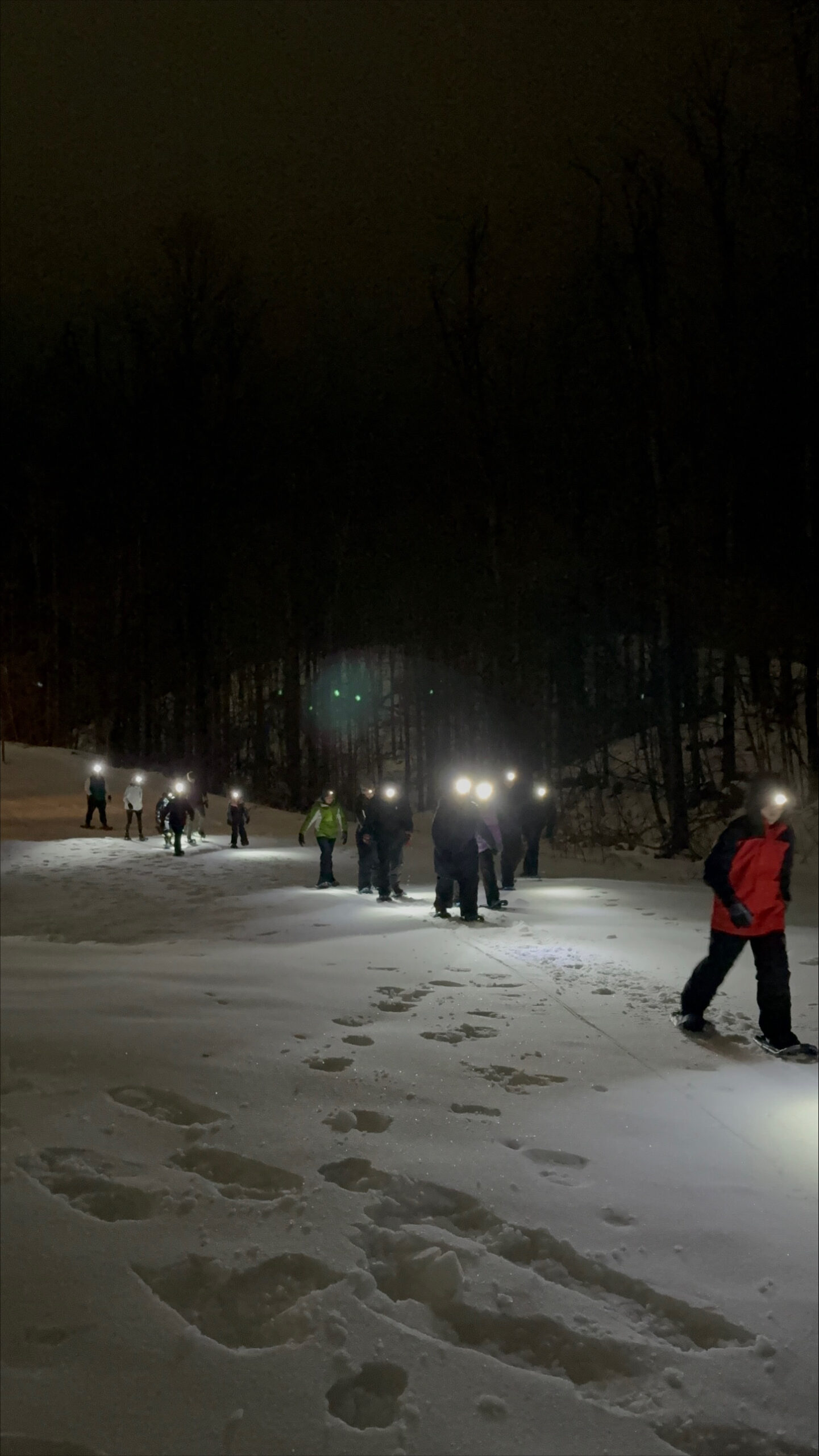 Guided Snowshoe Hike