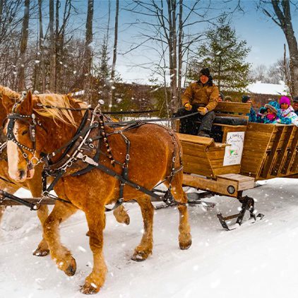 sleigh-rides